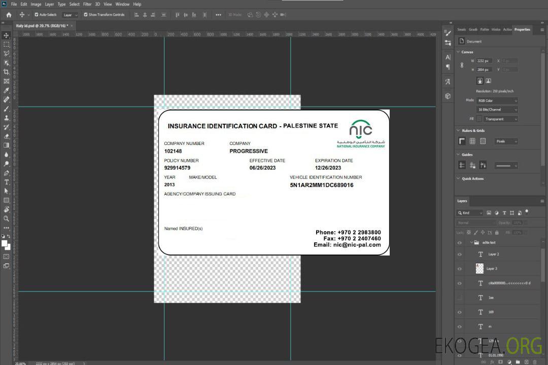 Carte d’assurance maladie de l’État palestinien template